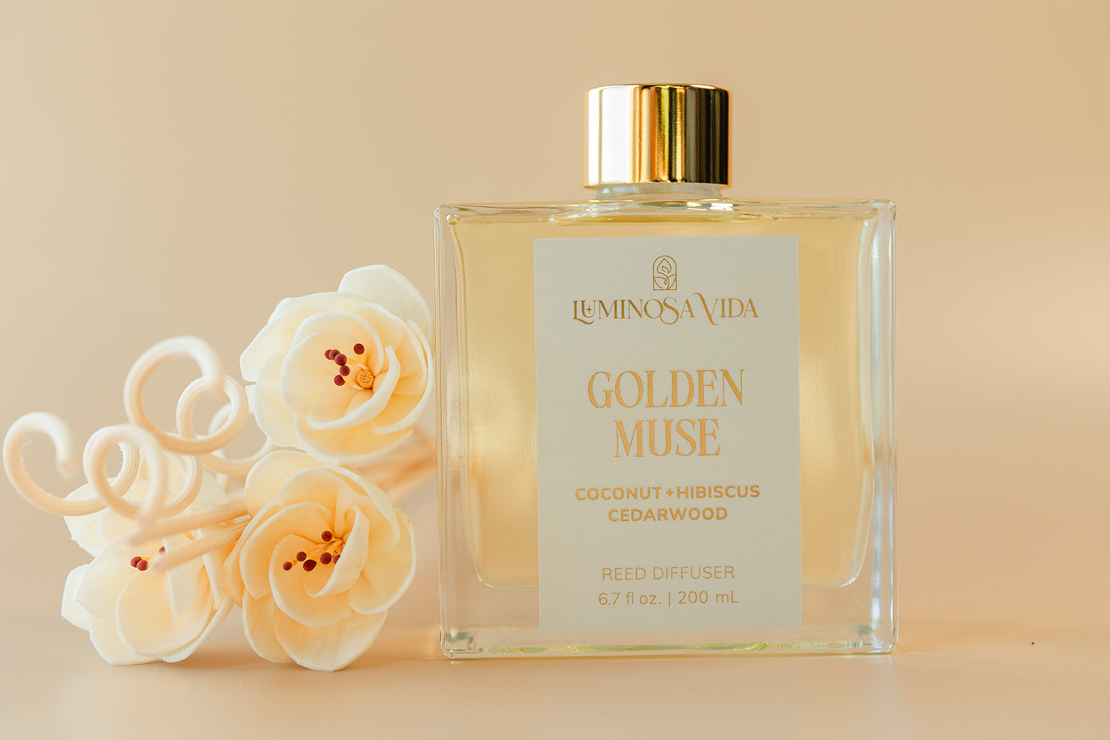 Luminosa Vida Golden Muse reed diffuser with coconut hibiscus cedarwood fragrance styled with white diffuser flowers.