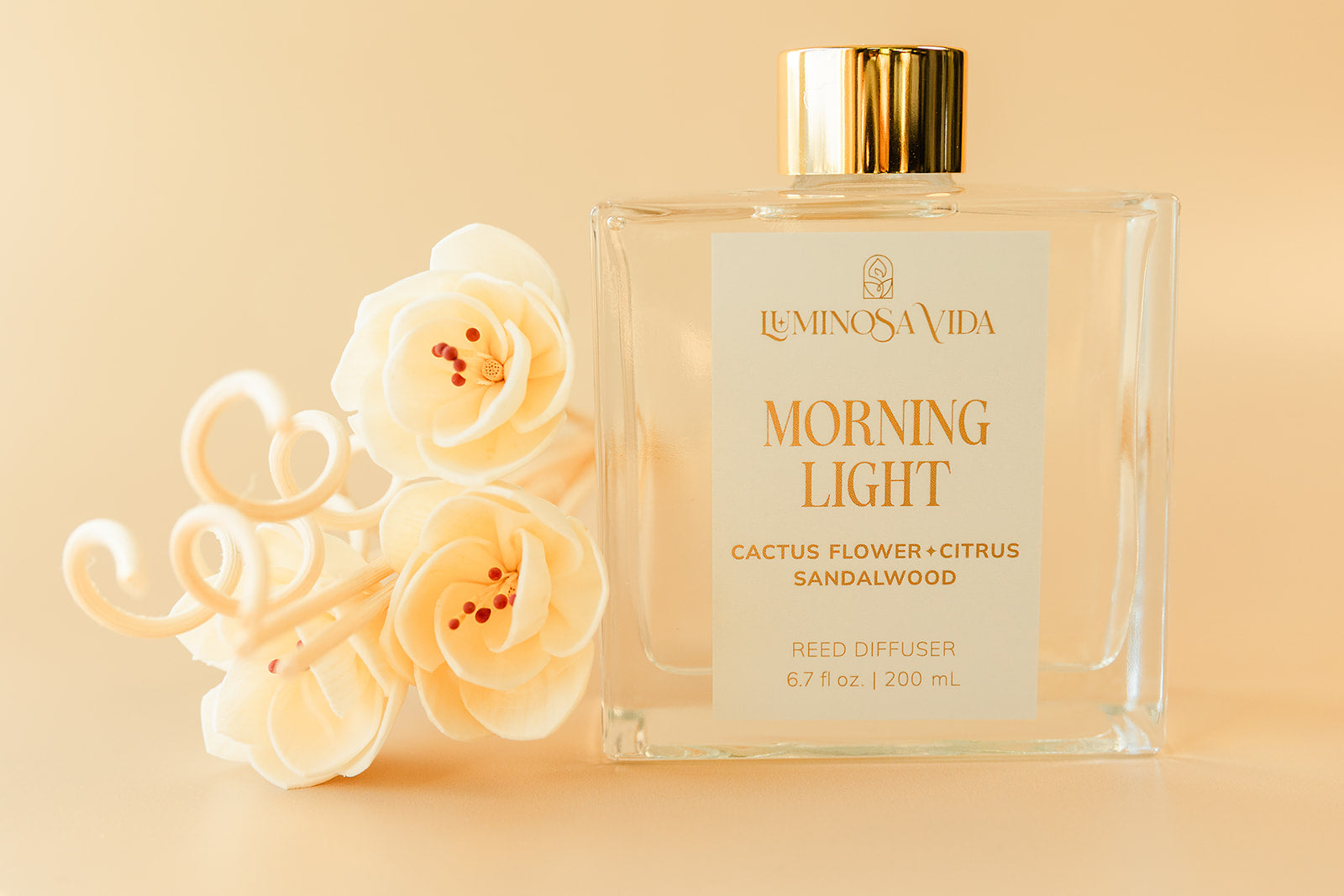 Luminosa Vida Morning Light reed diffuser with cactus flower citrus sandalwood fragrance styled with white diffuser flowers.