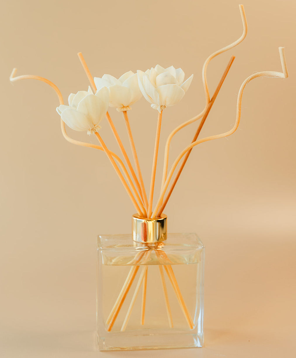 Luminosa Vida reed diffuser with decorative flower reeds in a clear glass bottle styled on a neutral background.