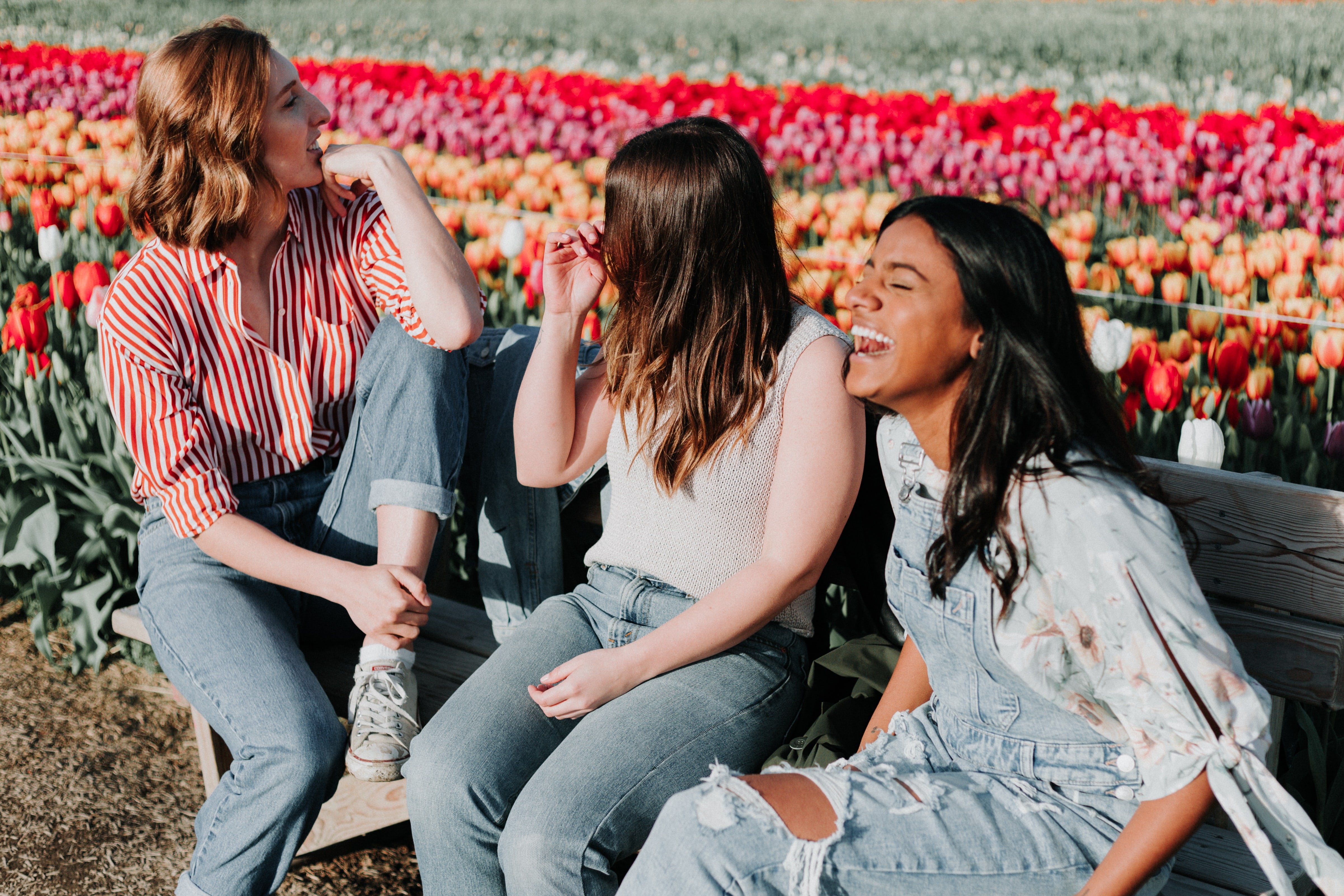 three women sitting and laughing in a flower field, jeans, leisurely