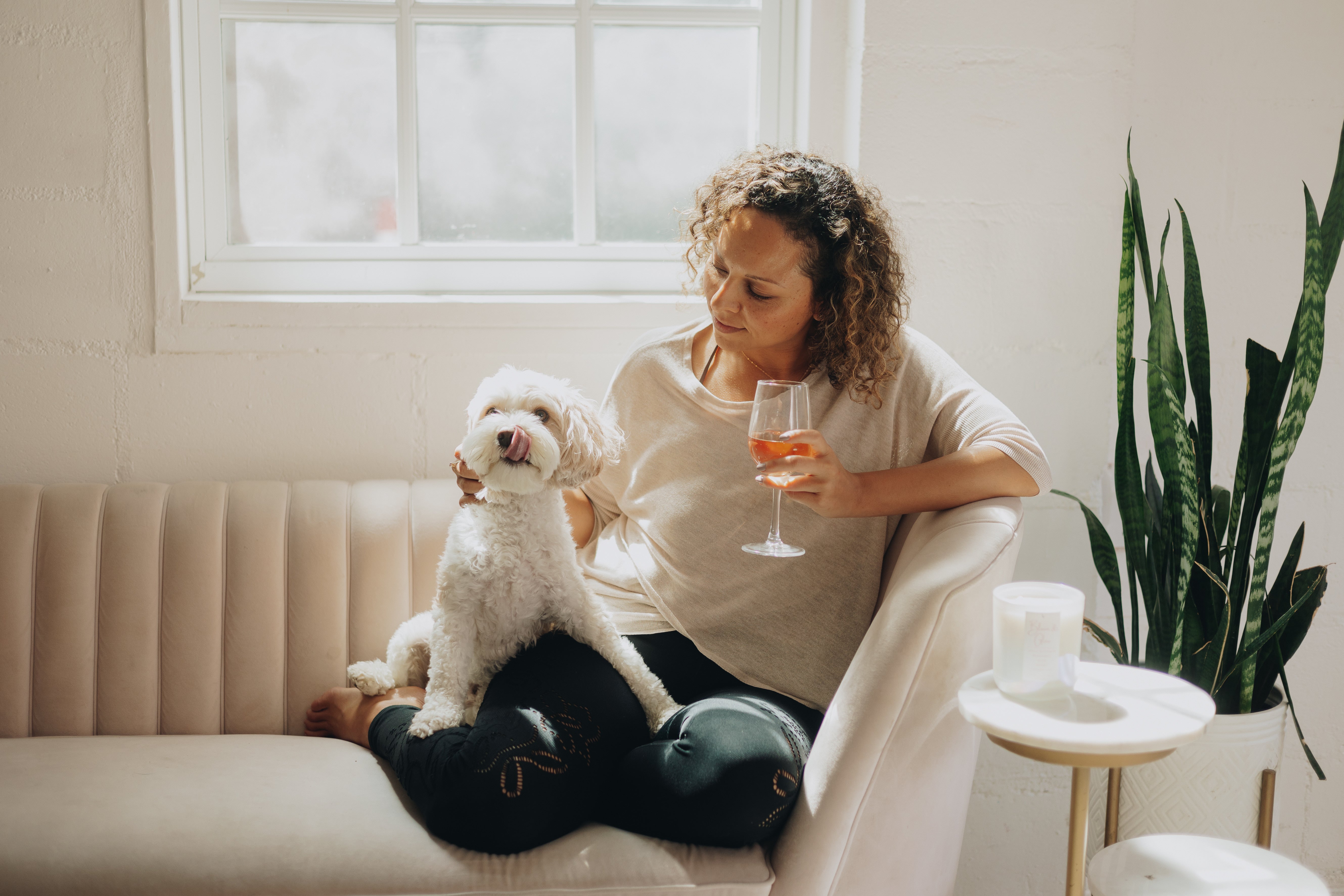 Are Candles Safe for Pets? A Guide to Pet-Friendly Candles