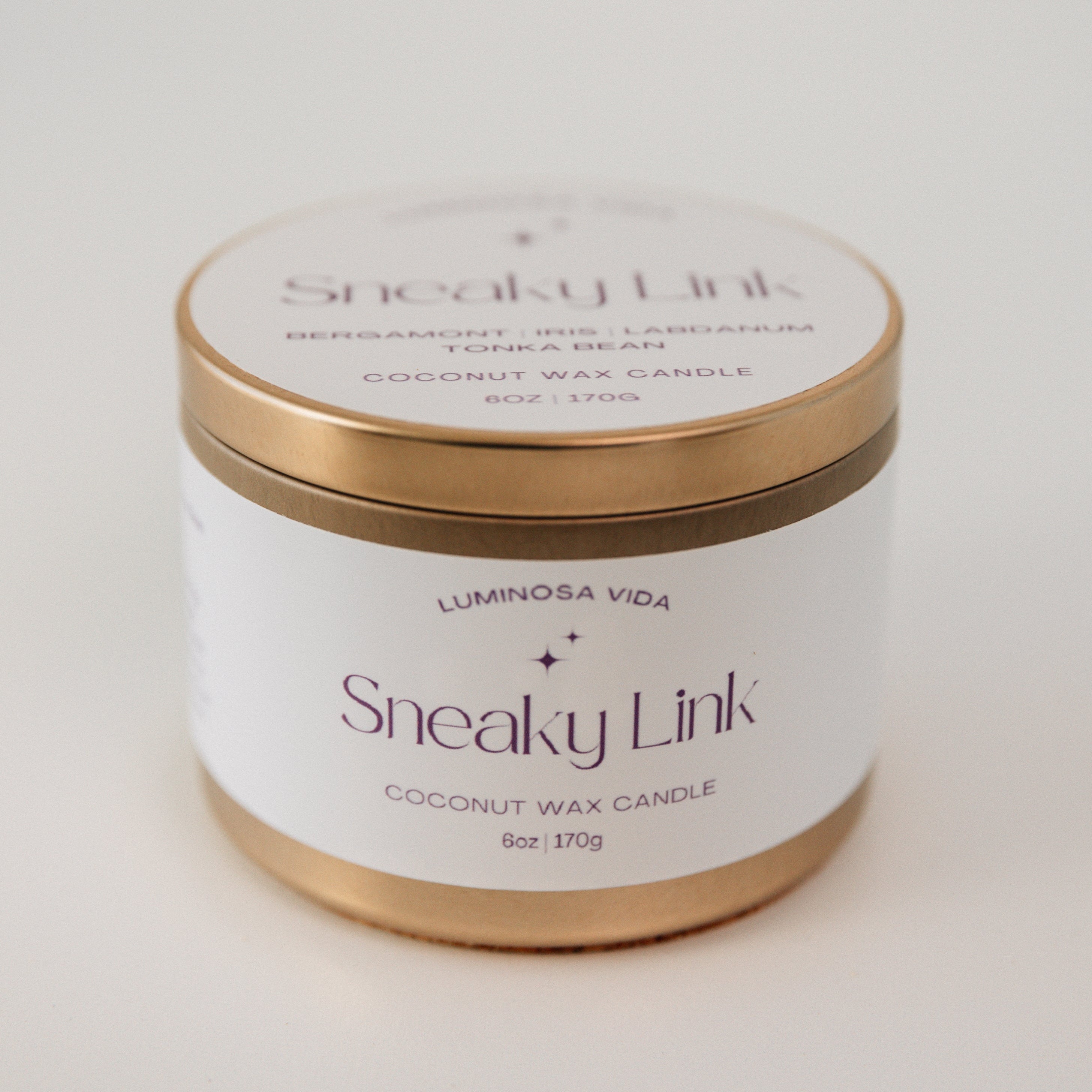 Sleek candle labeled 'Sneaky Link,' featuring a modern black wax container styled with moody lighting, sensual decor, and a hint of mystery. Perfect for creating a sultry, intimate ambiance in any space